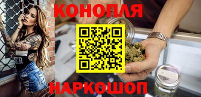 гидра Кандалакша